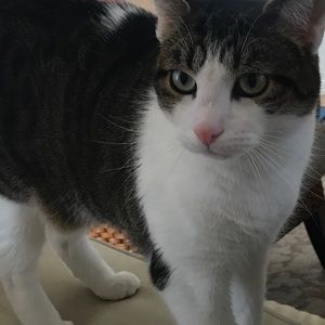 Meet your Posher, Sam